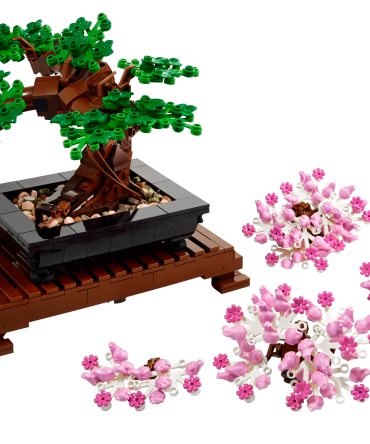 Bonsai Tree