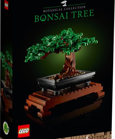 Bonsai Tree