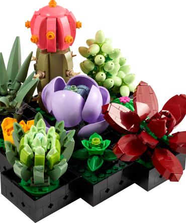 Succulents