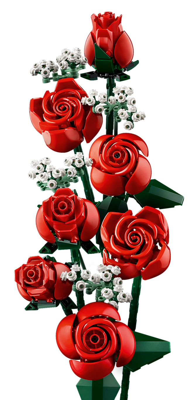 Bouquet of Roses