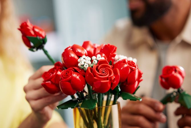 Bouquet of Roses