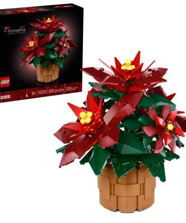 Poinsettia