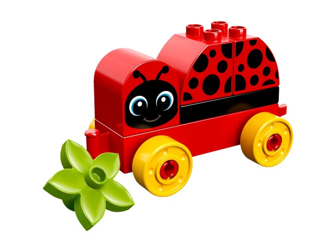 My First Ladybug