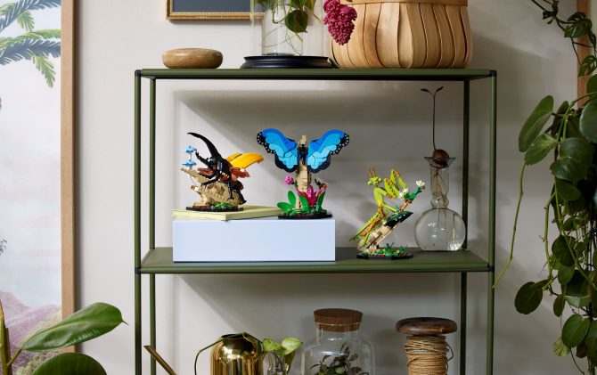 The Insect Collection