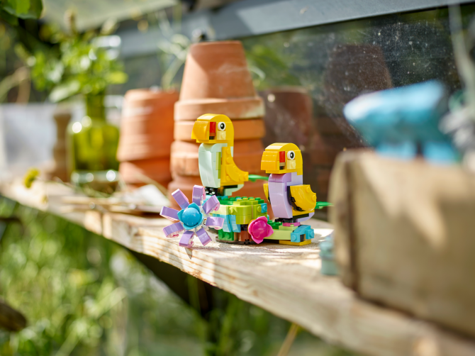 Flowers in Watering Can