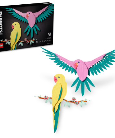 The Fauna Collection – Macaw Parrots