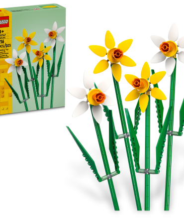 Daffodils