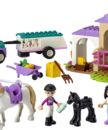 Horse Training and Trailer