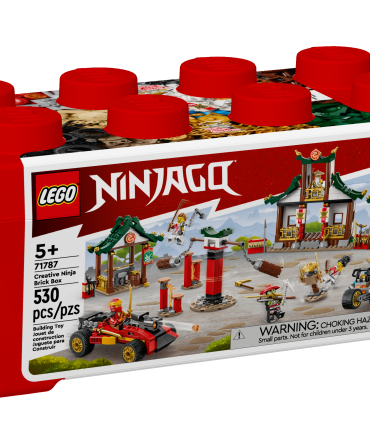 Creative Ninja Brick Box