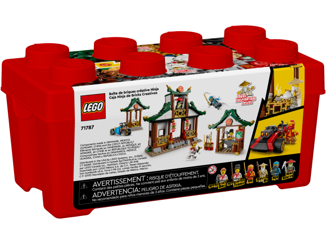 Creative Ninja Brick Box