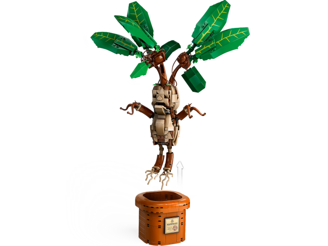 Mandrake